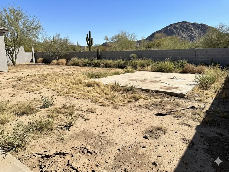 Backyard Redesign — before